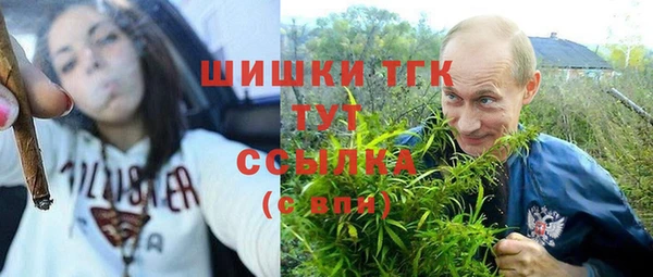 гашик Куйбышев