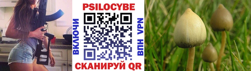 Купить где  Верещагино  Галлюциногенные грибы Psilocybe 