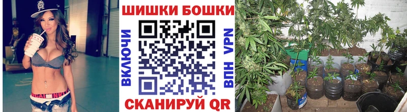 Шишки марихуана OG Kush Верещагино